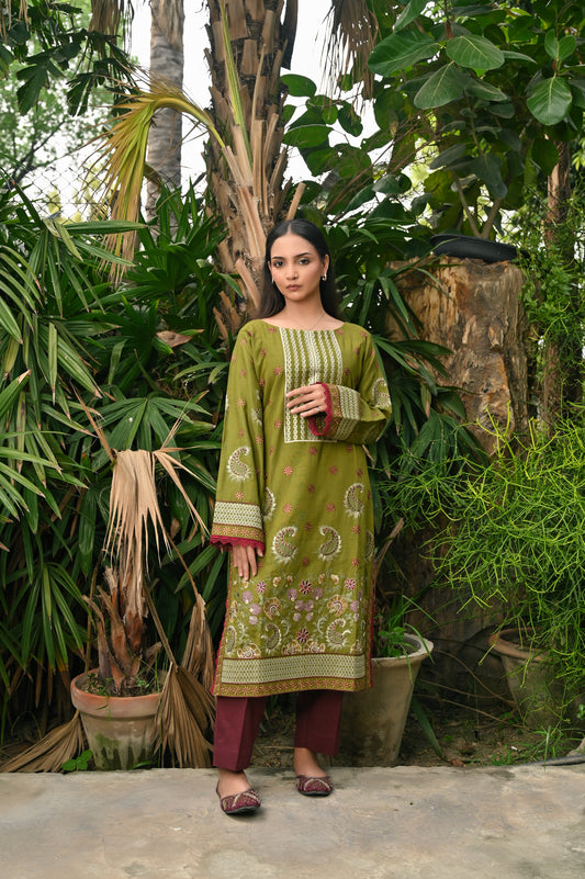 Green Embroidered Khaddar 2pc